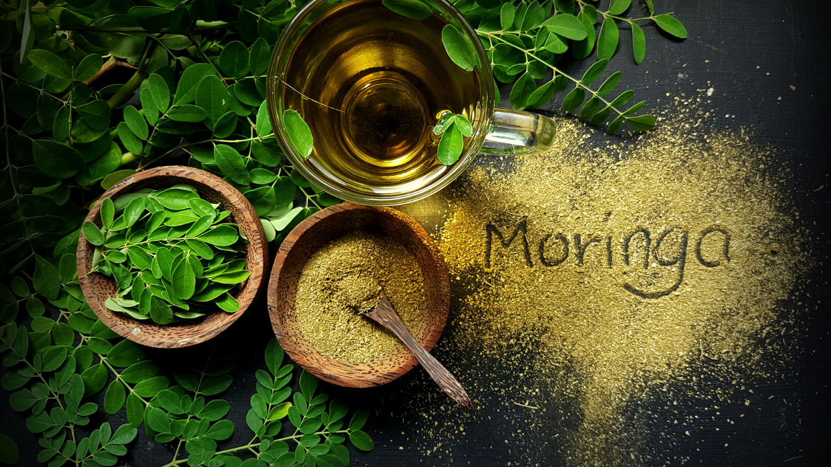 5 Moringa leaf powder benefits backed by studies | Nutratology