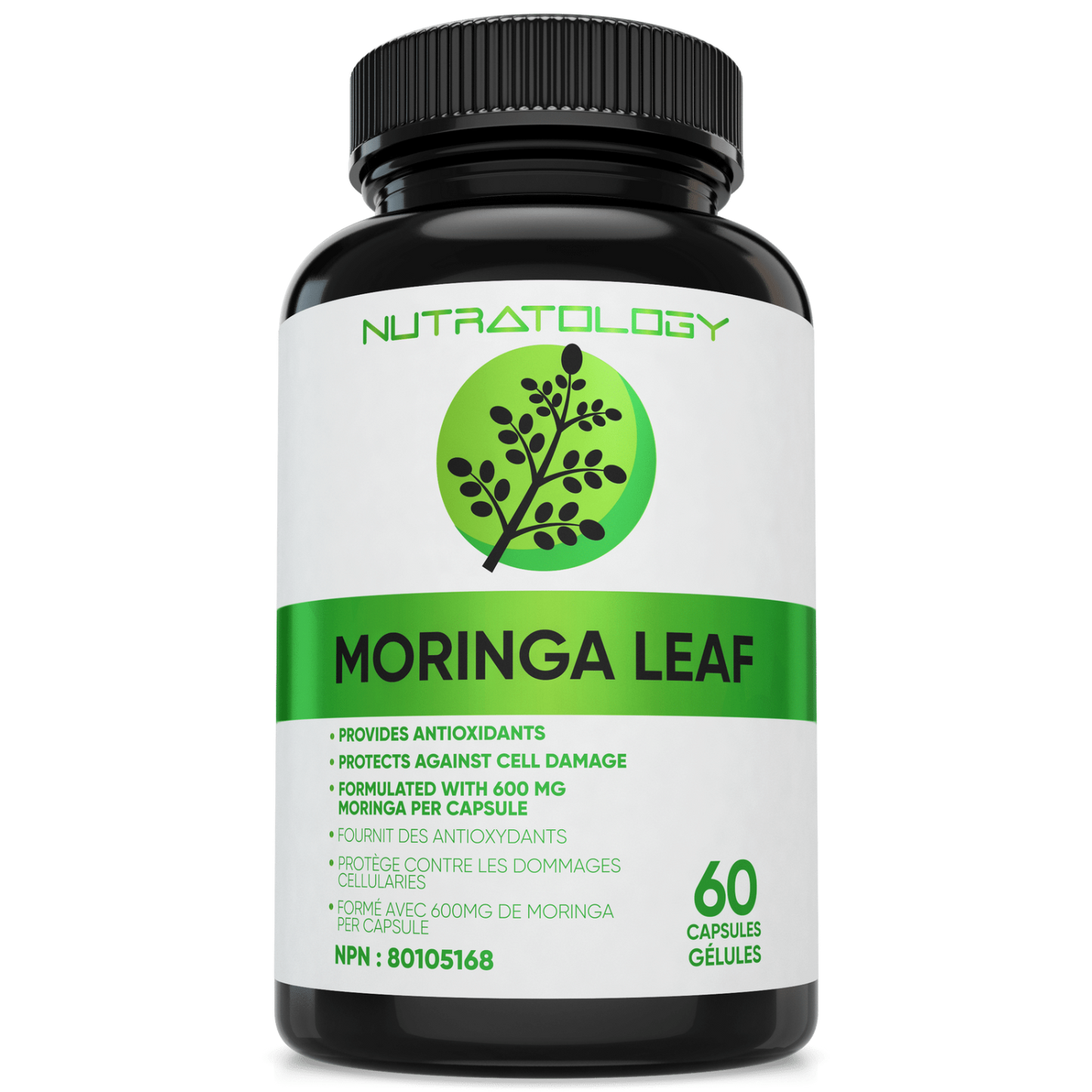 bg_img_https://cdn.shopify.com/s/files/1/0585/1172/0600/files/Moringa-Leaf_70ebc817-7b27-41d5-9069-d3caadae6e95.png?v=1696516778