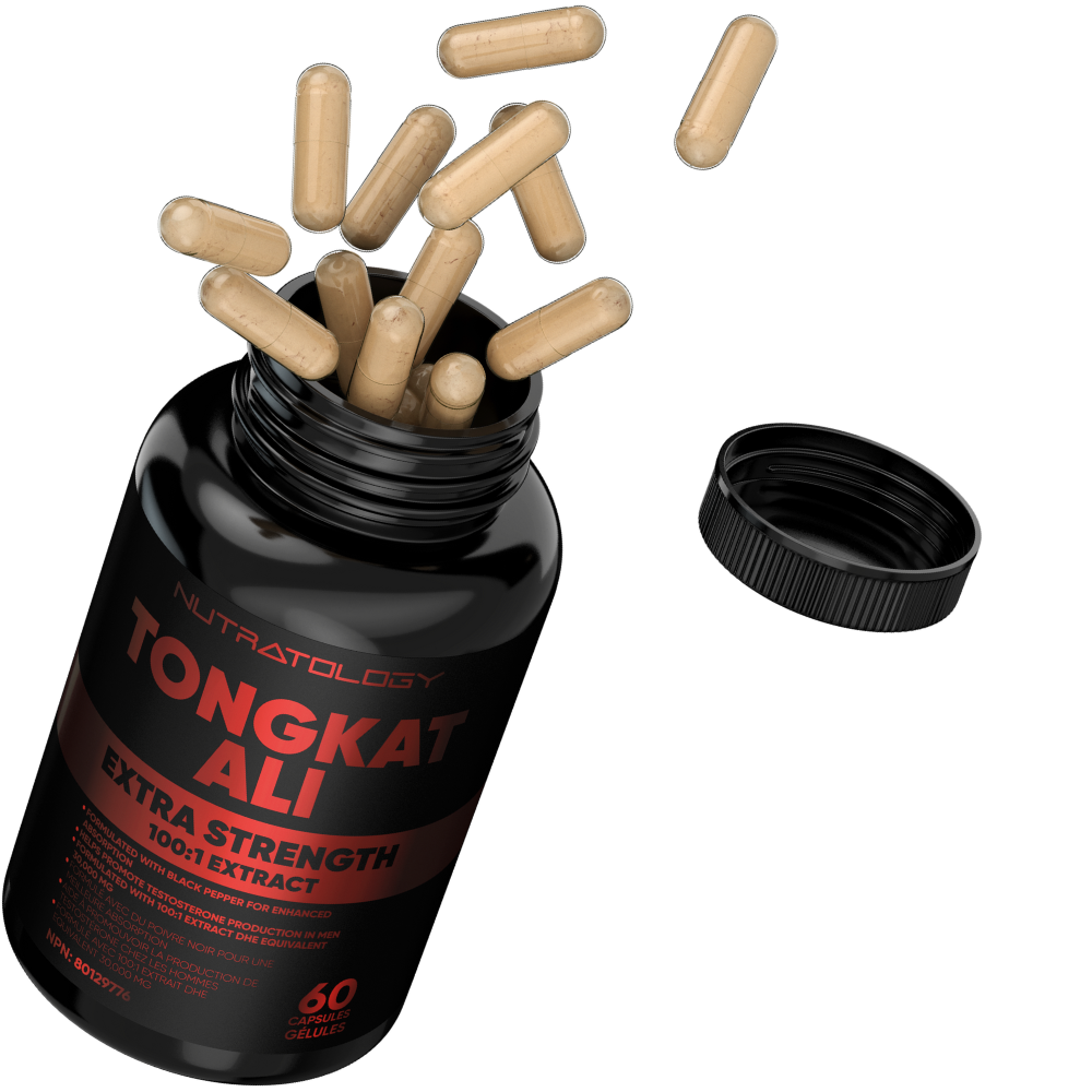 Nutratology Pure Himalayan Shilajit Capsules - Pure Himalayan Shilajit Capsules